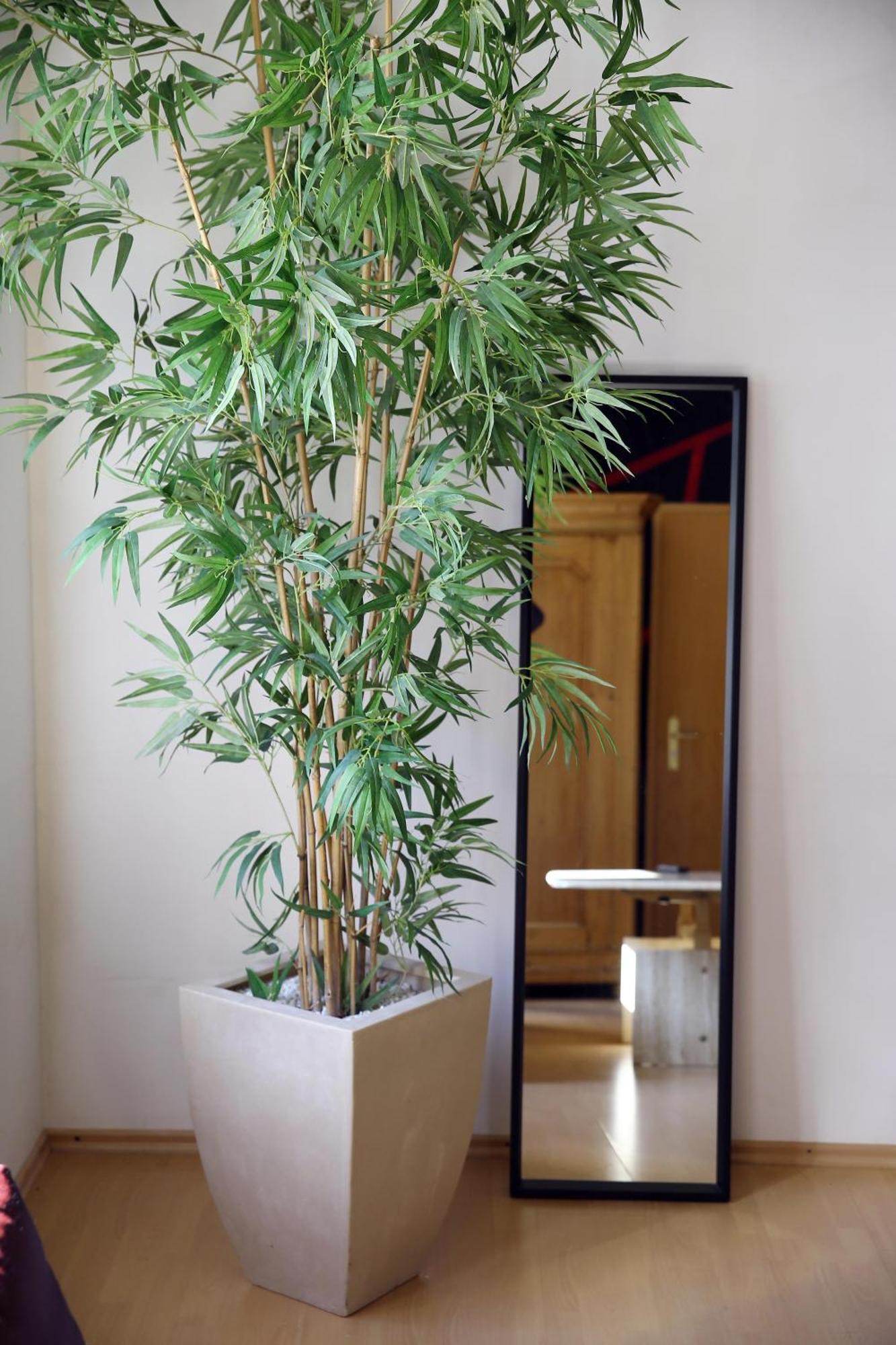 35qm 4 Personen Zentral! Kino! Kueche! Wallbox! Raeder, Eg Appartement